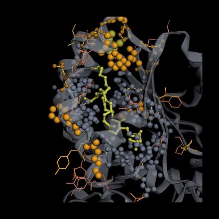 LULA-1 attention on 9EFP: top attention picks vs. real binding contacts