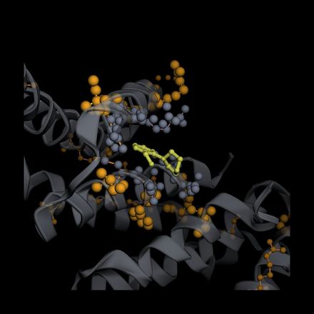 LULA-1 attention on 9HFB: top attention picks vs. real binding contacts