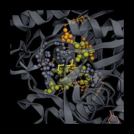 LULA-1 attention on 9J3W: top attention picks vs. real binding contacts