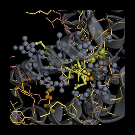 LULA-1 attention on 9LM7: top attention picks vs. real binding contacts