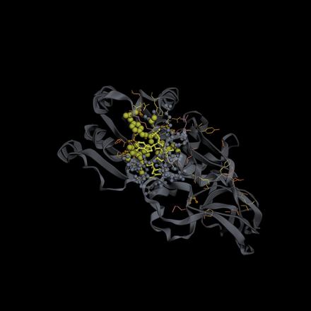 LULA-1 attention on 9MDH: top attention picks vs. real binding contacts