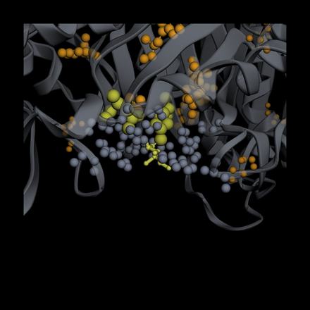 LULA-1 attention on 9RDG: top attention picks vs. real binding contacts