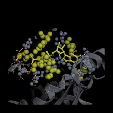 LULA-1 attention on 9TJY: top attention picks vs. real binding contacts