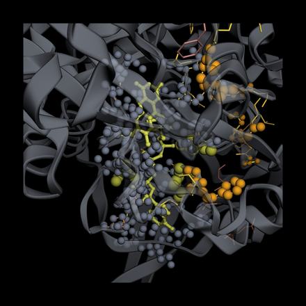 LULA-1 attention on 9TK6: top attention picks vs. real binding contacts