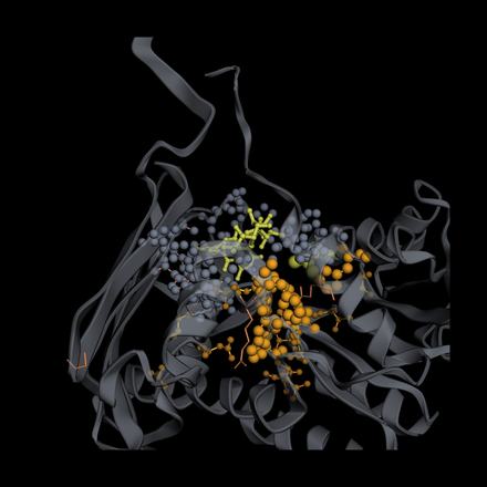 LULA-1 attention on 9VCN: top attention picks vs. real binding contacts